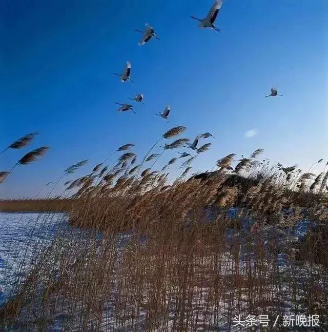 哈佳快速铁路图，哈佳快速铁路8月开通