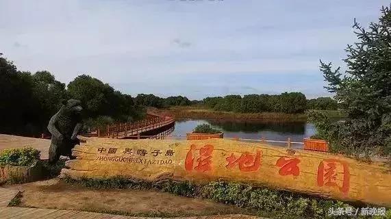 哈佳快速铁路图，哈佳快速铁路8月开通