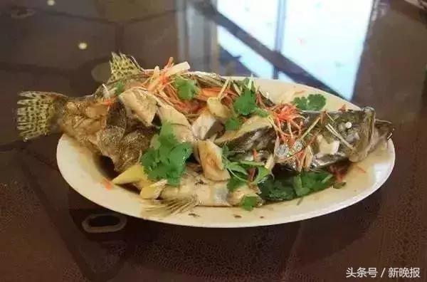 哈佳快速铁路图，哈佳快速铁路8月开通