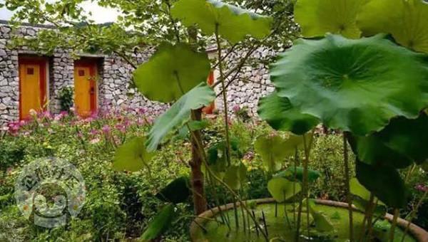 西安民宿前十名，10家最赞民宿（这些高颜值民宿）