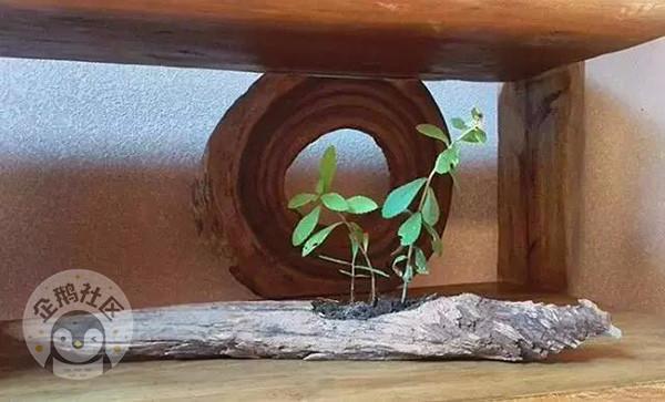 西安民宿前十名，10家最赞民宿（这些高颜值民宿）