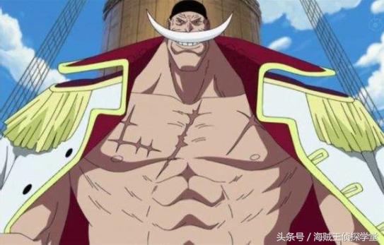 已出现的七位传说中海贼谁最强，海贼王真正的三大将