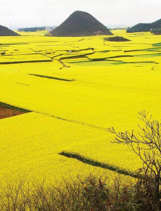 云南旅游景点大全，云南省各州市旅游景点大全（轻松玩转春城昆明）