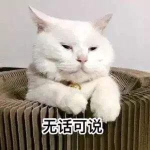 陈坤演的最好看的电视剧，谍战剧脱身活活演成都市爱情剧脱单