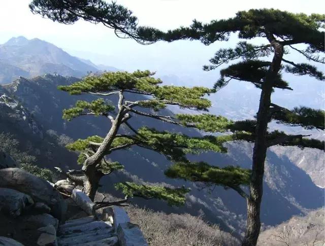 霍山附近旅游景点推荐，霍山旅游送您一份避暑纳凉休闲之旅经典线路