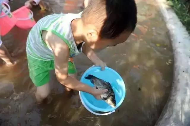 姑婆山旅游区游玩，暑期最嘻狂欢姑婆山