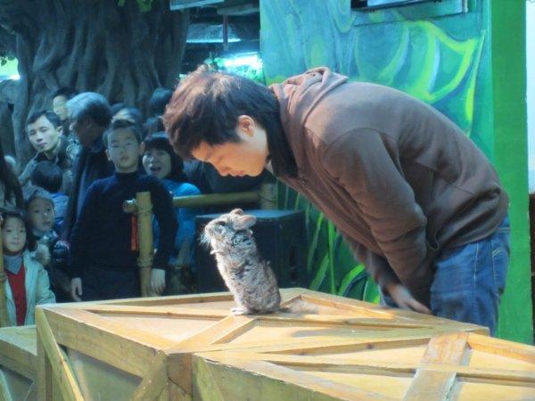 上海大自然野生昆虫馆，上海大自然野生昆虫馆图（上海首个区级专业陆生野生动物收容救护点）