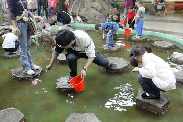 上海大自然野生昆虫馆，上海大自然野生昆虫馆图（上海首个区级专业陆生野生动物收容救护点）