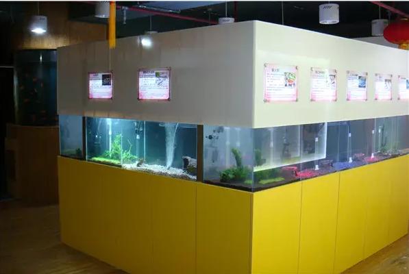 上海大自然野生昆虫馆，上海大自然野生昆虫馆图（上海首个区级专业陆生野生动物收容救护点）