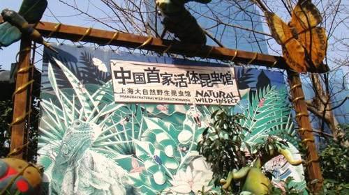 上海大自然野生昆虫馆，上海大自然野生昆虫馆图（上海首个区级专业陆生野生动物收容救护点）