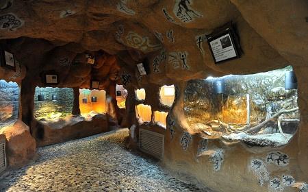 上海大自然野生昆虫馆，上海大自然野生昆虫馆图（上海首个区级专业陆生野生动物收容救护点）