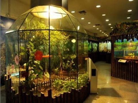 上海大自然野生昆虫馆，上海大自然野生昆虫馆图（上海首个区级专业陆生野生动物收容救护点）