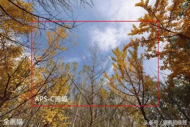 关于相机的画幅的知识，相机画幅究竟是什么