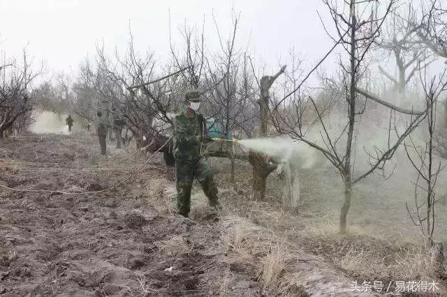 硫磺粉的作用及使用方法养花，原来是酸度不够