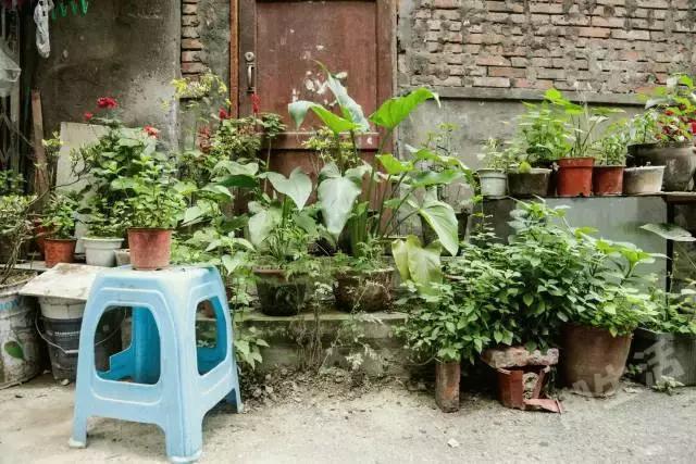 成都城南网红美食一条街，生母为了她放弃生命56岁因癌症异国去世