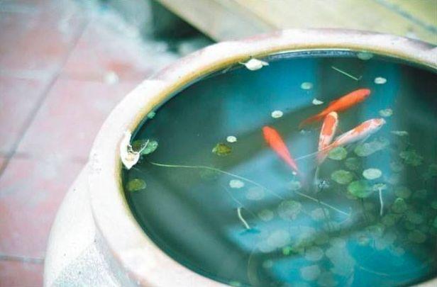 晚安感悟180630：匆忙中我们失去了什么