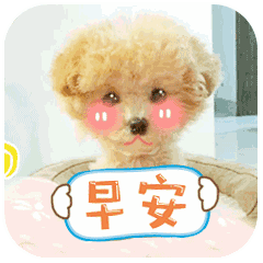 早上好温馨问候语，早上好问候语温馨美好的（非常温馨的早安祝福语）