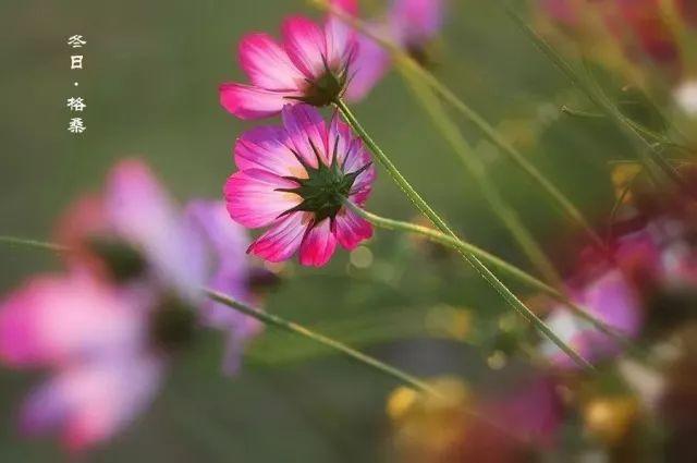晚安感悟180702：感情需要的是理解，陪伴需要的是耐心