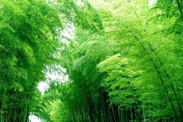 亲历电影取景地风光，跟着这些影视剧镜头去避暑
