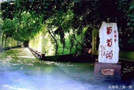 吐鲁番十大必去景点，新疆吐鲁番市葡萄沟风景区旅游攻略