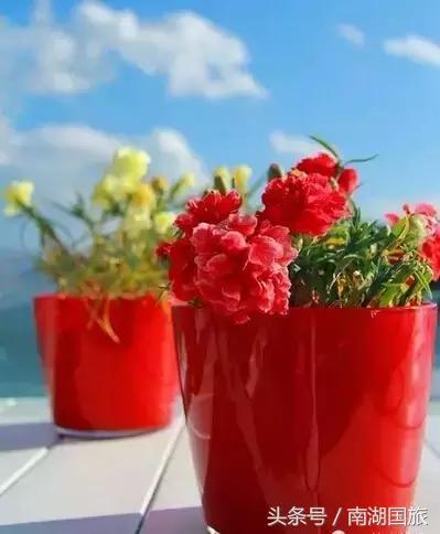 独自一人的西双版纳之行，一个人的丽江两个人的大理