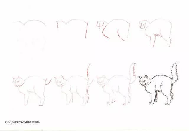 猫简笔画图片大全,猫咪简笔画100种画法(可爱猫咪简笔会素材) 猫简笔画图片大全,猫咪简笔画100种画法(可爱猫咪简笔会素材)