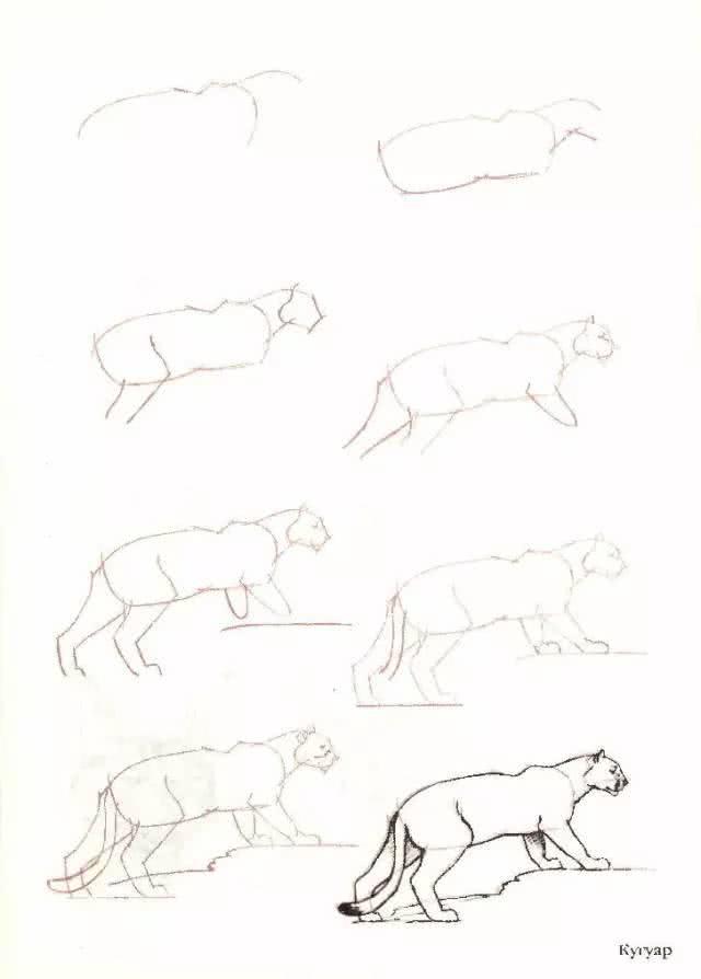 猫简笔画图片大全，猫咪简笔画100种画法（可爱猫咪简笔会素材）