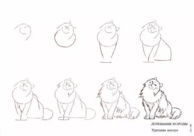 猫简笔画图片大全,猫咪简笔画100种画法(可爱猫咪简笔会素材) 猫简笔画图片大全,猫咪简笔画100种画法(可爱猫咪简笔会素材)