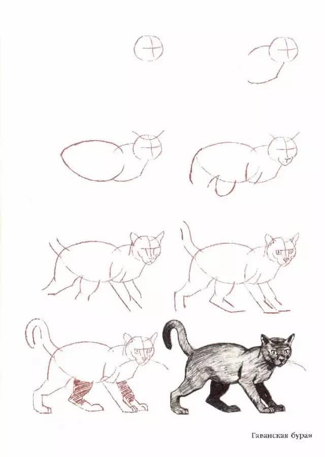 猫简笔画图片大全,猫咪简笔画100种画法(可爱猫咪简笔会素材) 猫简笔画图片大全,猫咪简笔画100种画法(可爱猫咪简笔会素材)