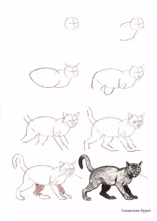 猫简笔画图片大全，猫咪简笔画100种画法（可爱猫咪简笔会素材）