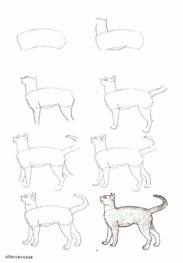 猫简笔画图片大全，猫咪简笔画100种画法（可爱猫咪简笔会素材）