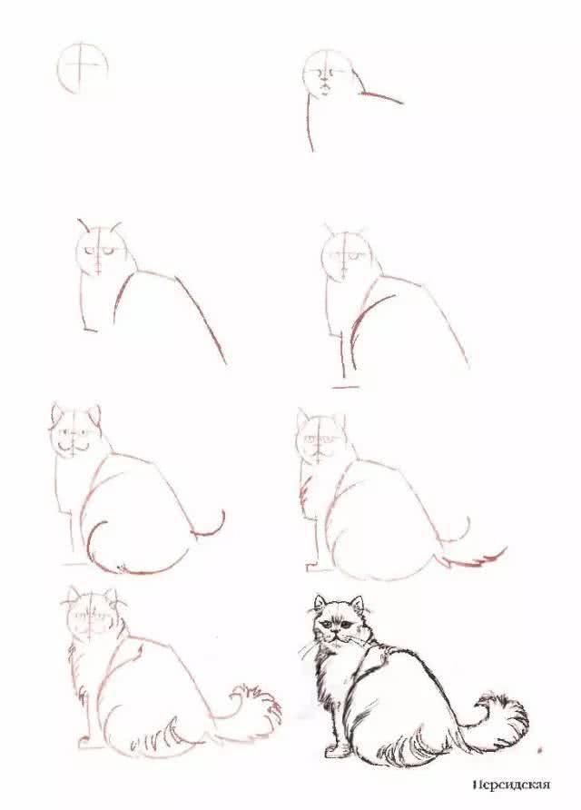 猫简笔画图片大全，猫咪简笔画100种画法（可爱猫咪简笔会素材）