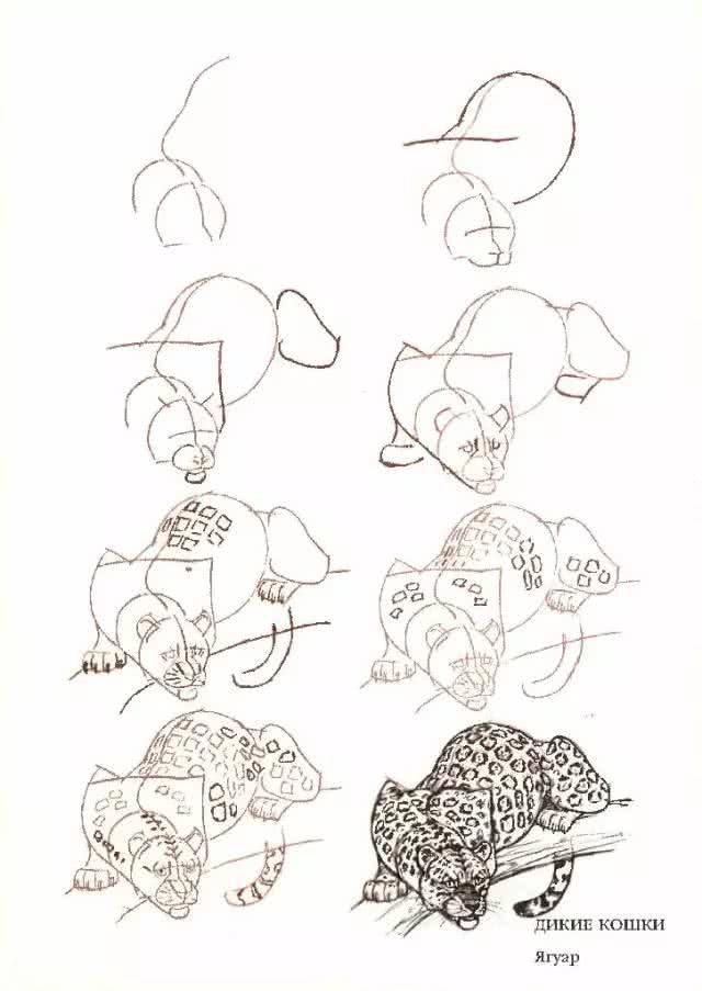 猫简笔画图片大全,猫咪简笔画100种画法(可爱猫咪简笔会素材) 猫简笔画图片大全,猫咪简笔画100种画法(可爱猫咪简笔会素材)