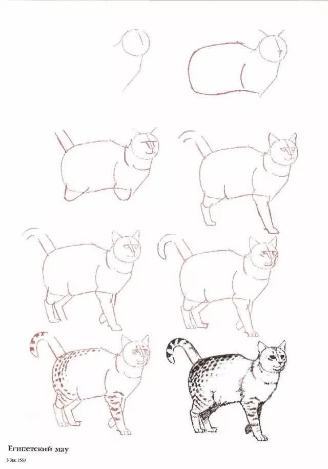 猫简笔画图片大全,猫咪简笔画100种画法(可爱猫咪简笔会素材) 猫简笔画图片大全,猫咪简笔画100种画法(可爱猫咪简笔会素材)