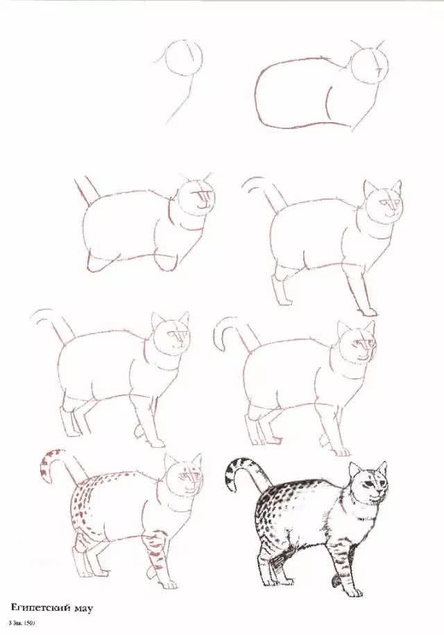 猫简笔画图片大全，猫咪简笔画100种画法（可爱猫咪简笔会素材）