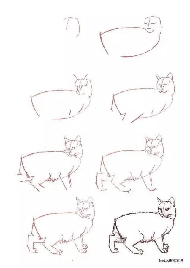 猫简笔画图片大全，猫咪简笔画100种画法（可爱猫咪简笔会素材）