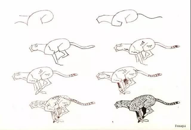 猫简笔画图片大全,猫咪简笔画100种画法(可爱猫咪简笔会素材) 猫简笔画图片大全,猫咪简笔画100种画法(可爱猫咪简笔会素材)