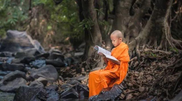 晚安美文180703：只因人在风中，聚散不由你我