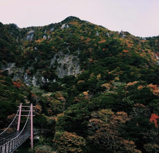 济州岛旅游攻略，济州岛旅行攻略一日游（济州岛丨旅游攻略详解）