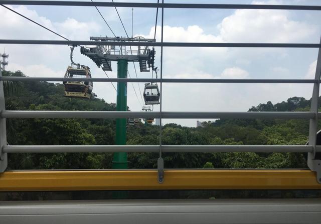 广州长隆野生动物世界在哪里，广州长隆野生动物世界完整攻略暑假来了