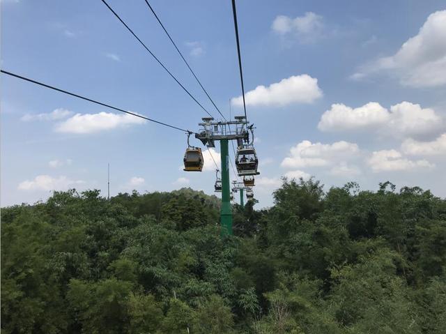 广州长隆野生动物世界在哪里，广州长隆野生动物世界完整攻略暑假来了