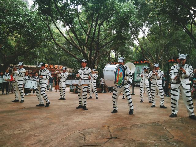 广州长隆野生动物世界在哪里，广州长隆野生动物世界完整攻略暑假来了
