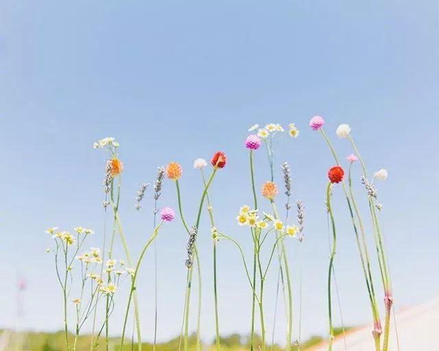 晚安感悟180704：你的朋友很可能决定你的未来