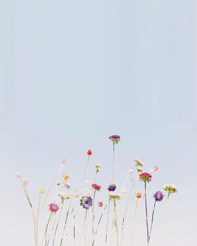 晚安感悟180704：你的朋友很可能决定你的未来