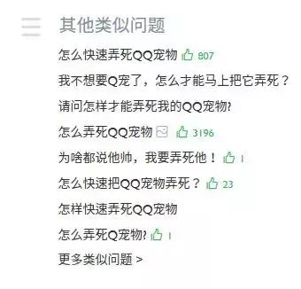 q宠为什么下线，Q宠停运就像你的青春一去不复返