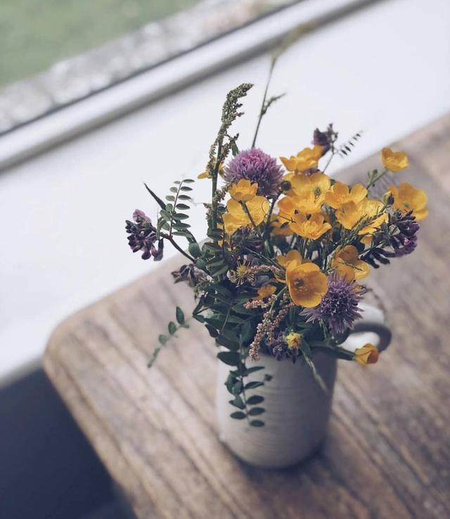 晚安句子180704：人心温暖，万物复苏