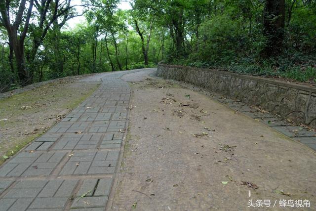 紫金山天文台开放时间，紫金山天文台