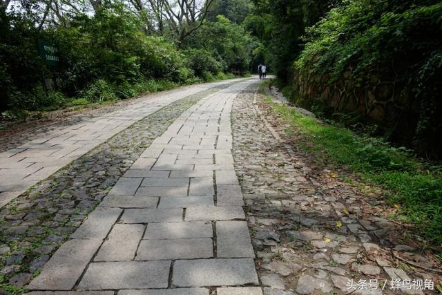 紫金山天文台开放时间，紫金山天文台