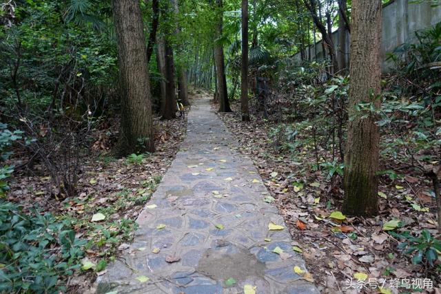 紫金山天文台开放时间，紫金山天文台