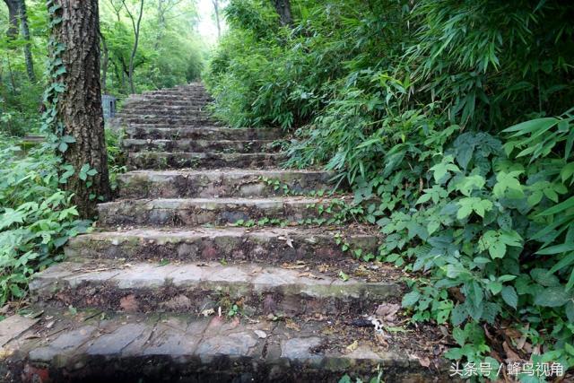 紫金山天文台开放时间，紫金山天文台